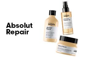 Absolut Repair range for damage repair